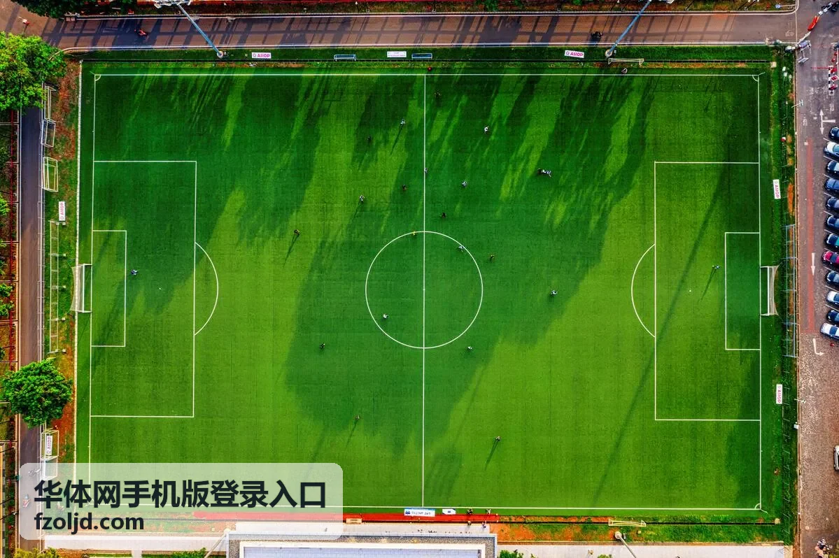 华体网手机版登录入口 移动端登录步骤示意